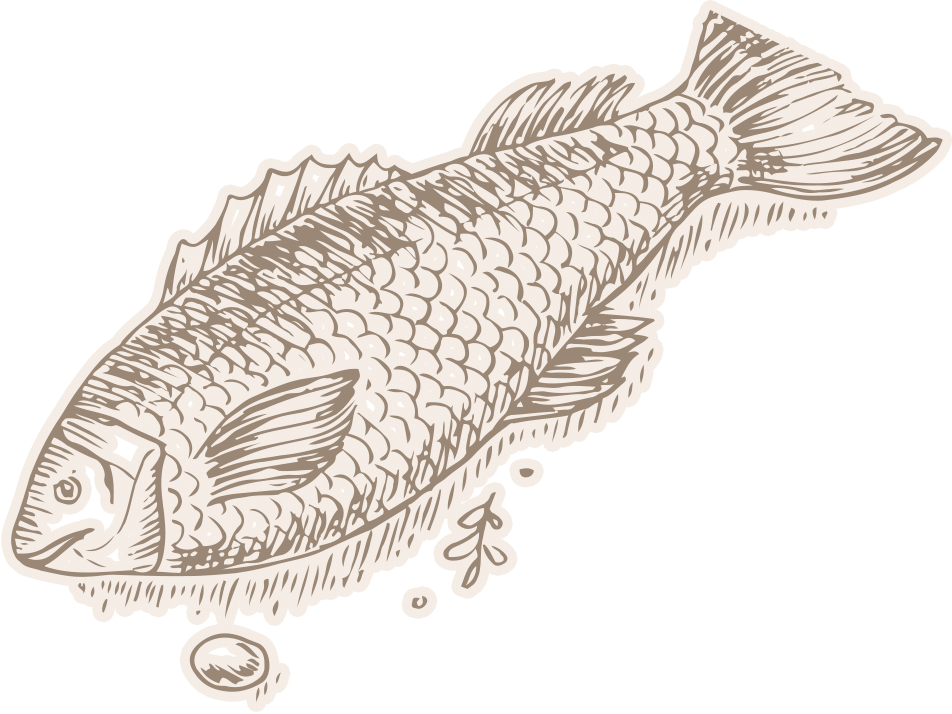 fish