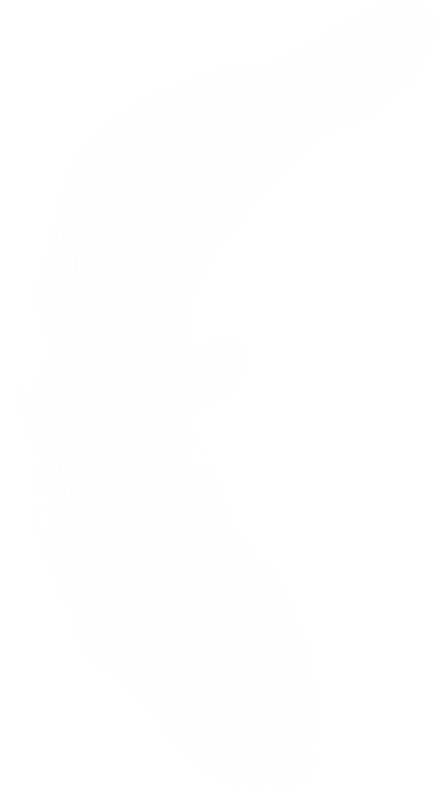 steam